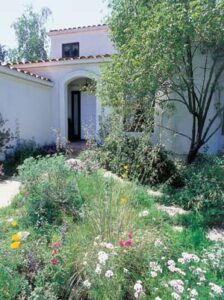 Green the Grass: Eco-friendly Lawn Care Tips Image
